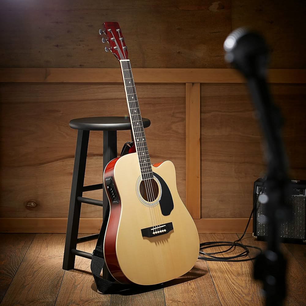 Beginner Starter Guitar Kit